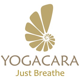 Yogacara Image